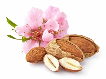 Almond Blossom